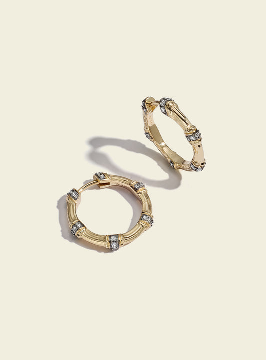 Lucy Delius 14ct gold hoop earrings, front view
