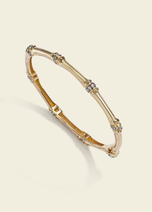 Sciura Skinny Bangle